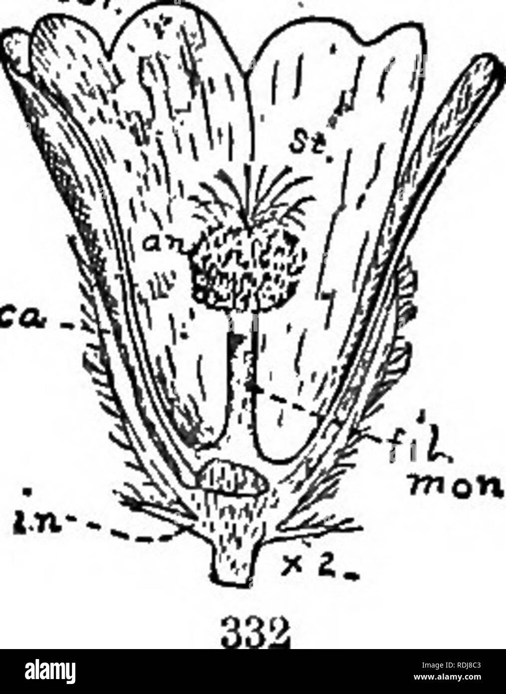 . The elements of botany embracing organography, histology, vegetable