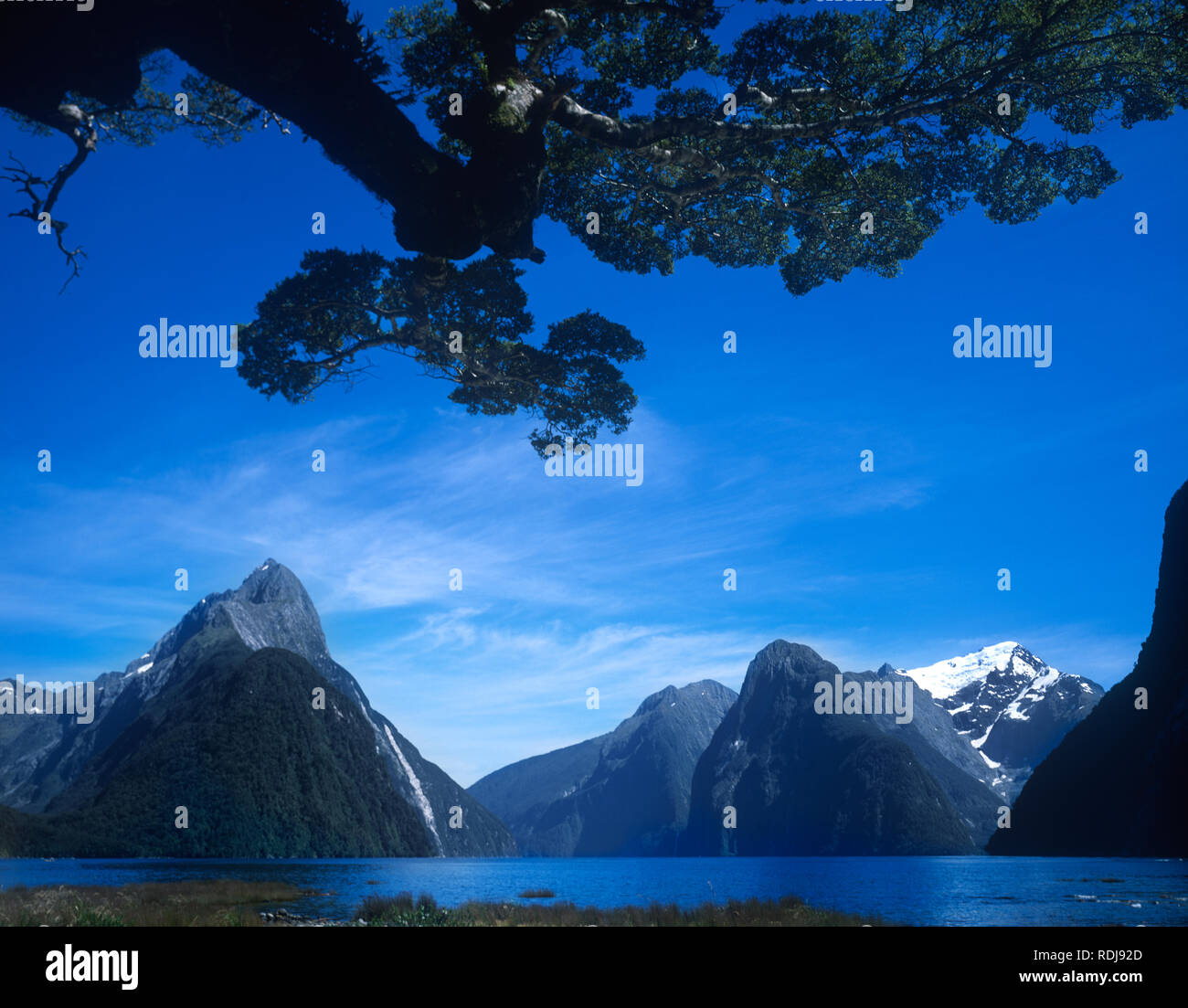 The Milford Sound, South Island New Zealand Stock Photo