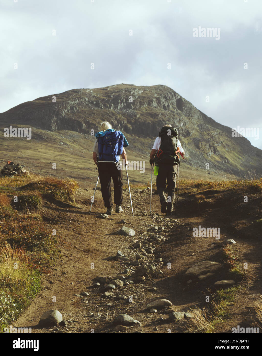 hikers in the swedish mountains Stock Photo
