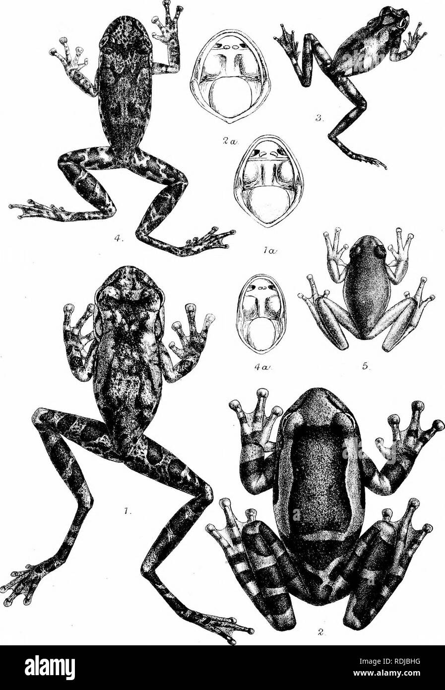 Invp Black and White Stock Photos & Images - Alamy