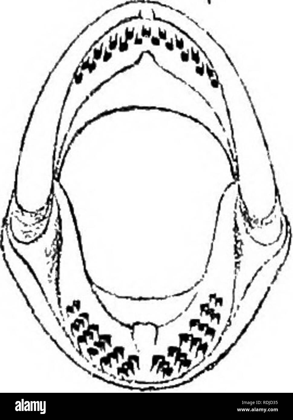 E 9 35 3 Black and White Stock Photos & Images Alamy