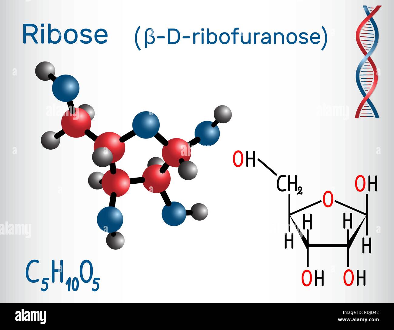 Structure Formula Of Ribose And Deoxyribose