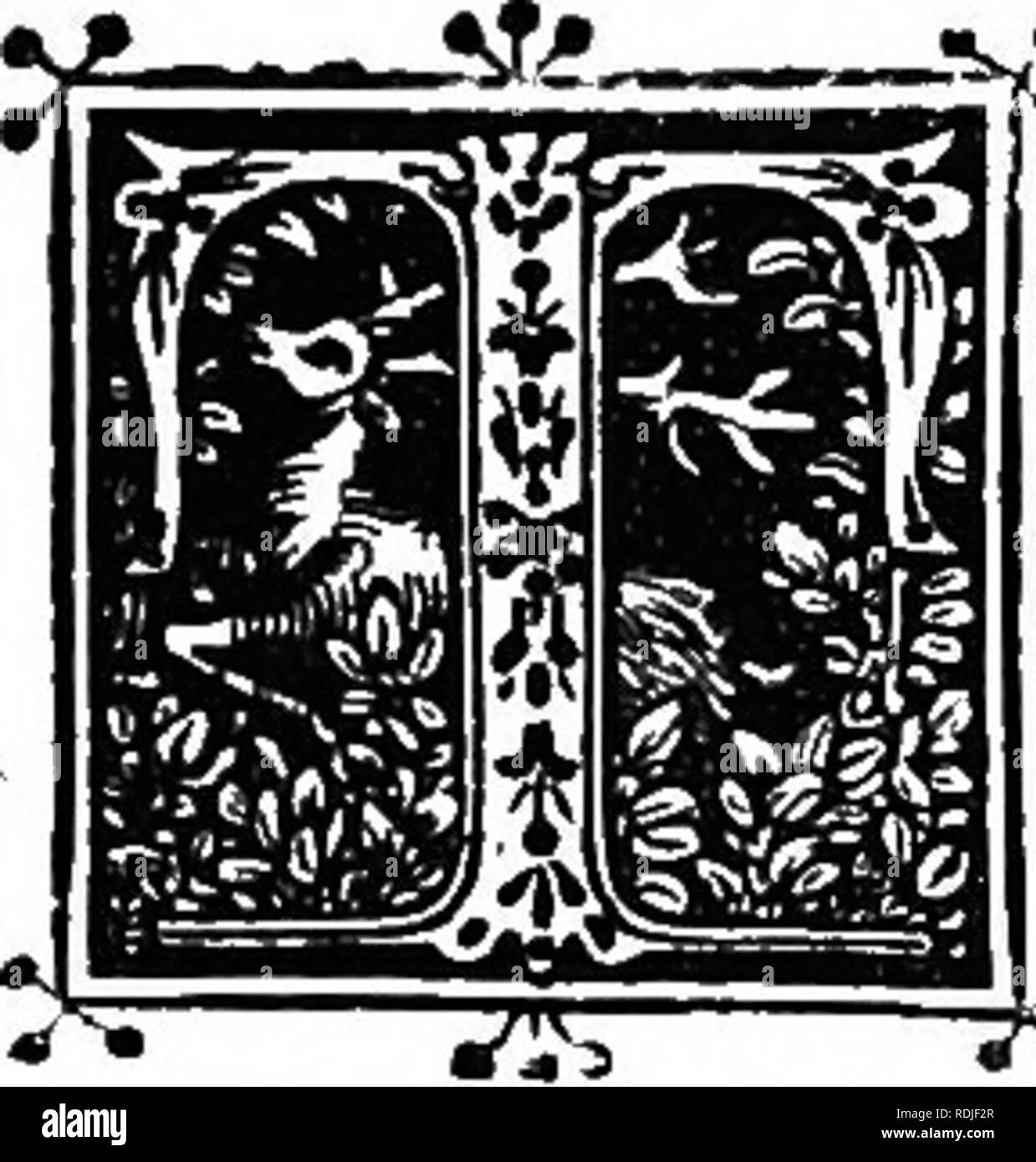 . The boke of Saint Albans. Falconry; Hunting; Heraldry; Incunabula. CHAPTER IV. Pi)ilologg.. HERE is a ftrongly marked individuality in the fpelling throughout all the treatifes in this work. If the Hunting rhymes belong to Dam Julyans, their ortho- graphy, like the profe portions, is that of the School- mafter, who appears to have been a North-countryman, many words leading to that conclufion. The formation of the plural by adding the letters &quot; is &quot; or &quot; ys &quot; ftrikes the attention at once. Thus the plural of bells is bellis; egg, eggis ; vetch, fetchis ; fulmert, ful- mer Stock Photo