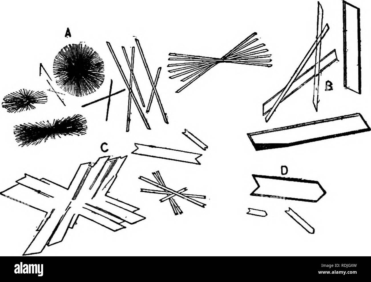 . Elements of applied microscopy. A text-book for beginners. Microscopy. FiG. 54.—Crystals of C-esidm Alum. (After Lehmann.) phate. From dilute acid solutions slender monoclinic prisms of the compound (CaS04+ 2H2O) crystallize out. Fig. 55.—Crystals of Calcium Sulphate. (After Lehmann.) (Fig. 55), showing numerous double twins, as at C, and in presence of strong acids, masses of minute needle- like crystals, as at .4.. Please note that these images are extracted from scanned page images that may have been digitally enhanced for readability - coloration and appearance of these illustrations may Stock Photo
