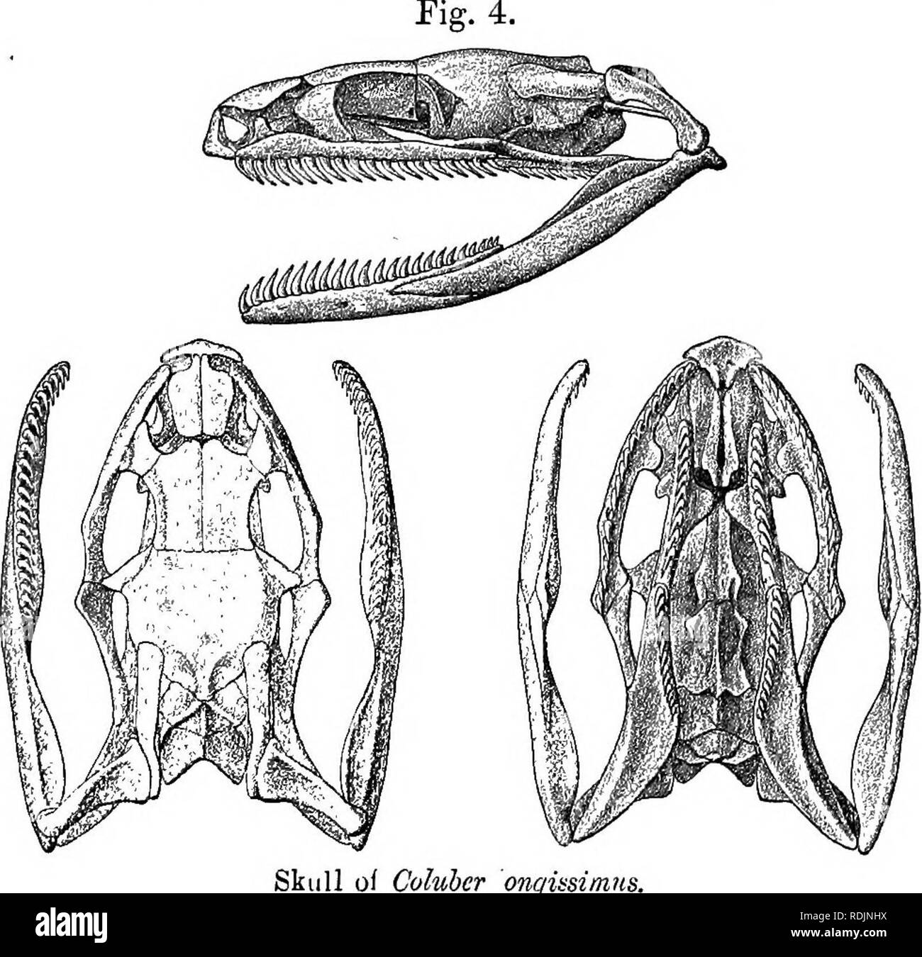 850 cc Black and White Stock Photos & Images Alamy