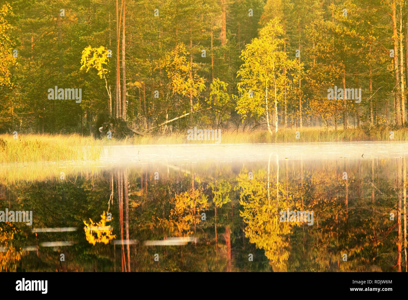 Rich range of colors of autumn forest on the shore of a quiet lake in ...