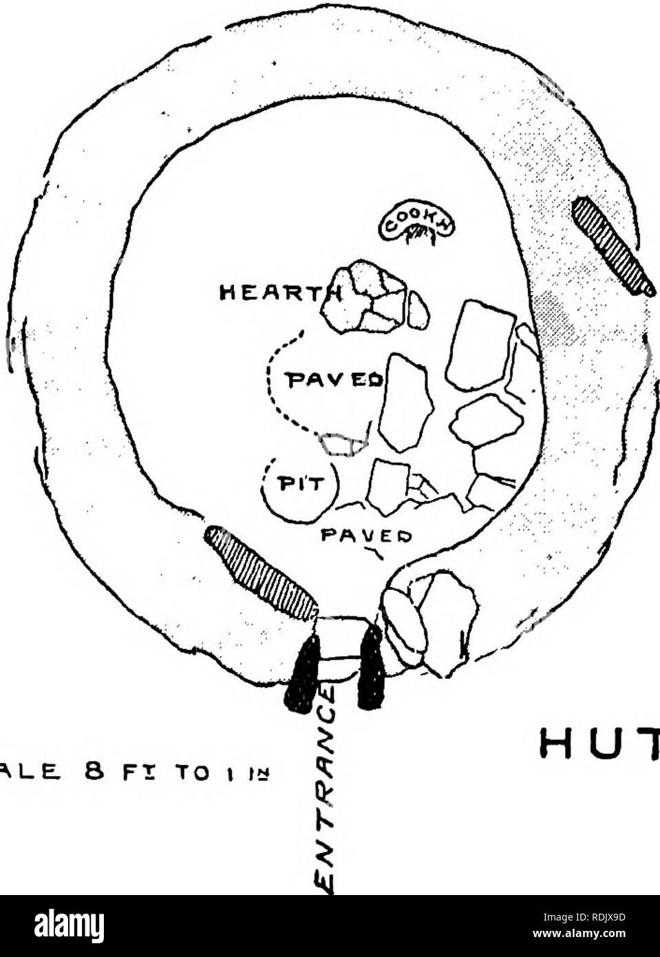 . The Victoria history of the county of Devon;. Natural history. LEGIS TOR SC^LE.. HUT 2 EARLY MAN in the Municipal Museum at Plymouth. The same hut yielded much charcoal, numerous cooking stones, a rubber stone, and an oval sparry river-pebble that had both its ends bruised and broken oy use. .â â ^uÂ°'^T5'^Â°^iP'^' '^''i' SE).âThere is an important series of hut circles and enclosures lying Zm V w &quot;â fT..T 'u' 'Tu^ '^Â°P^ Â°^ ^'g'^ ^Â°'- M^&quot;y Â°f these were explored in 1895-6 by Mr. R. Hansford Worth. The remains are very extensive, consisting of a series of irregularly- shaped enc Stock Photo