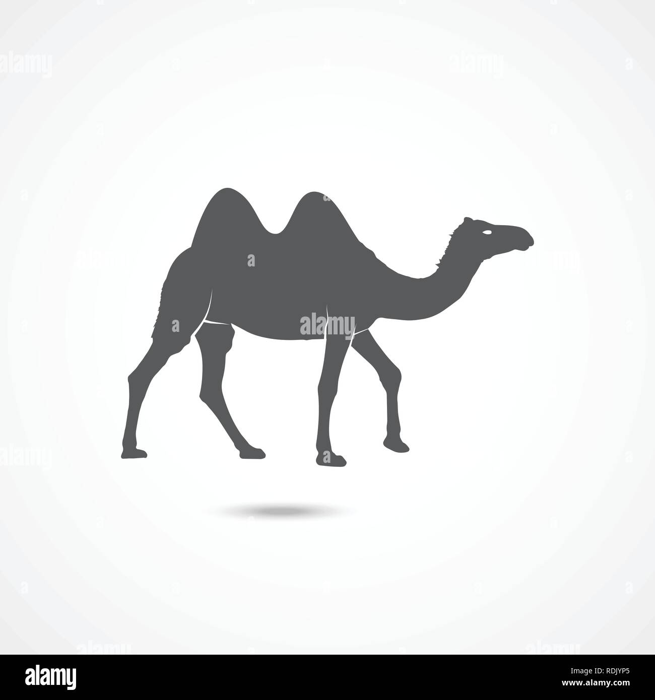 Camel flat icon Stock Vector