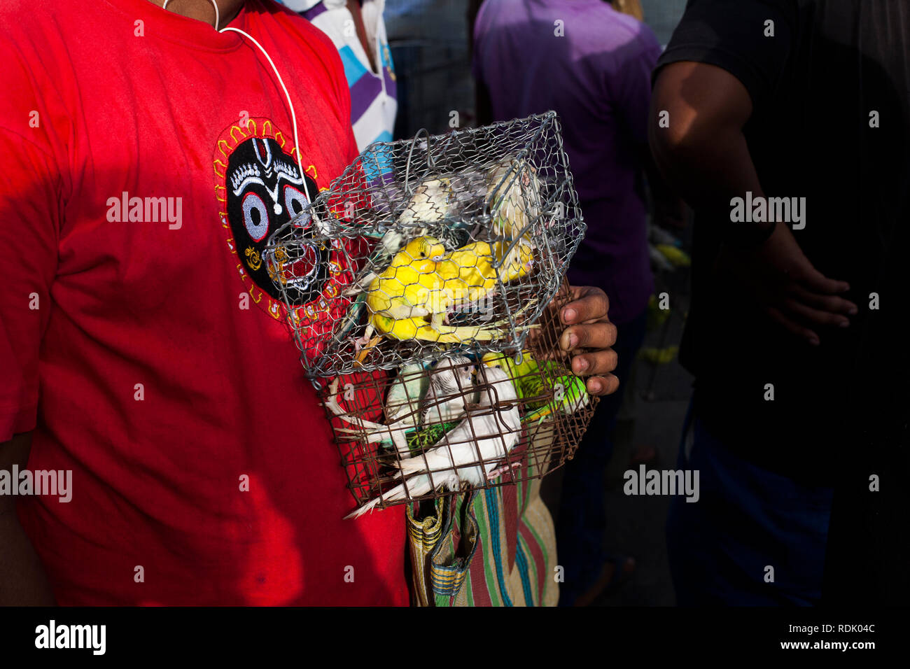 Birds being sold on a local market in Kolkata, India Stock Photo