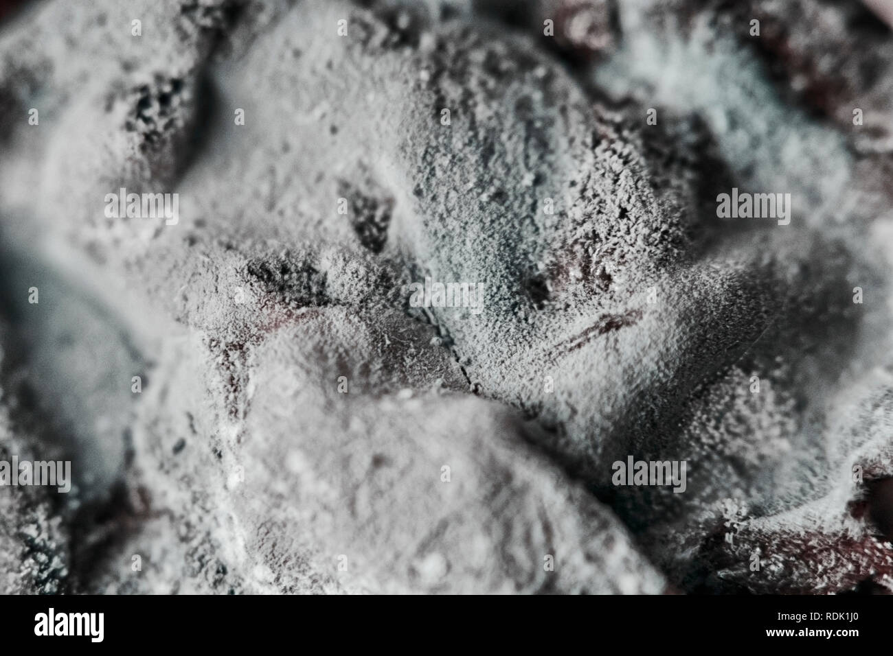 Green mold on black tea leaves, macrophoto Stock Photo