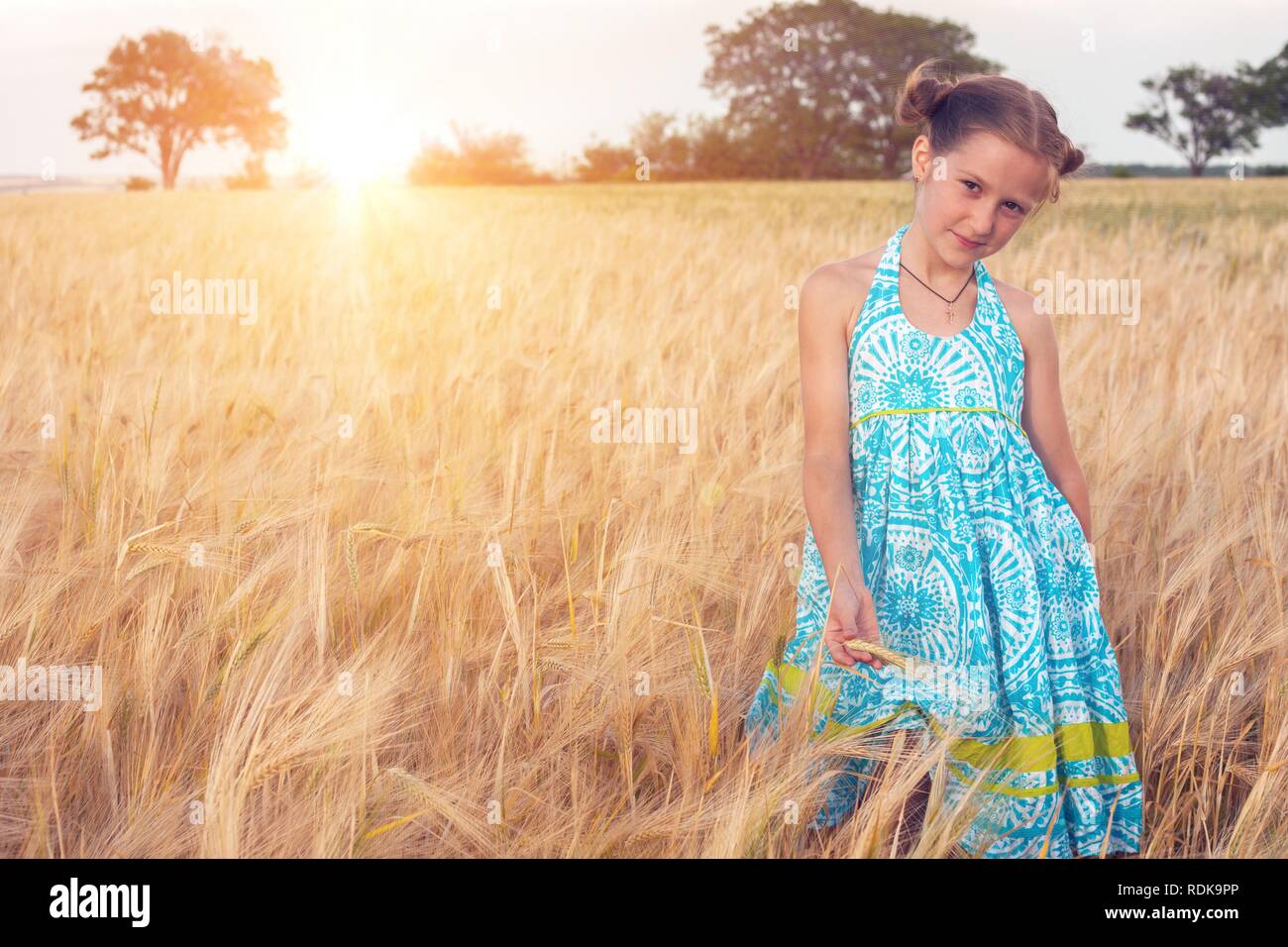 little girl at the wheat field Stock Photo - Alamy