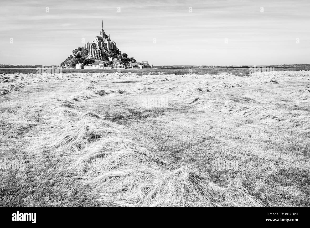 The Mont Saint-Michel tidal island in Normandy, France, with hay windrows drying in a field in the foreground under a blue sky with fibrous clouds. Stock Photo