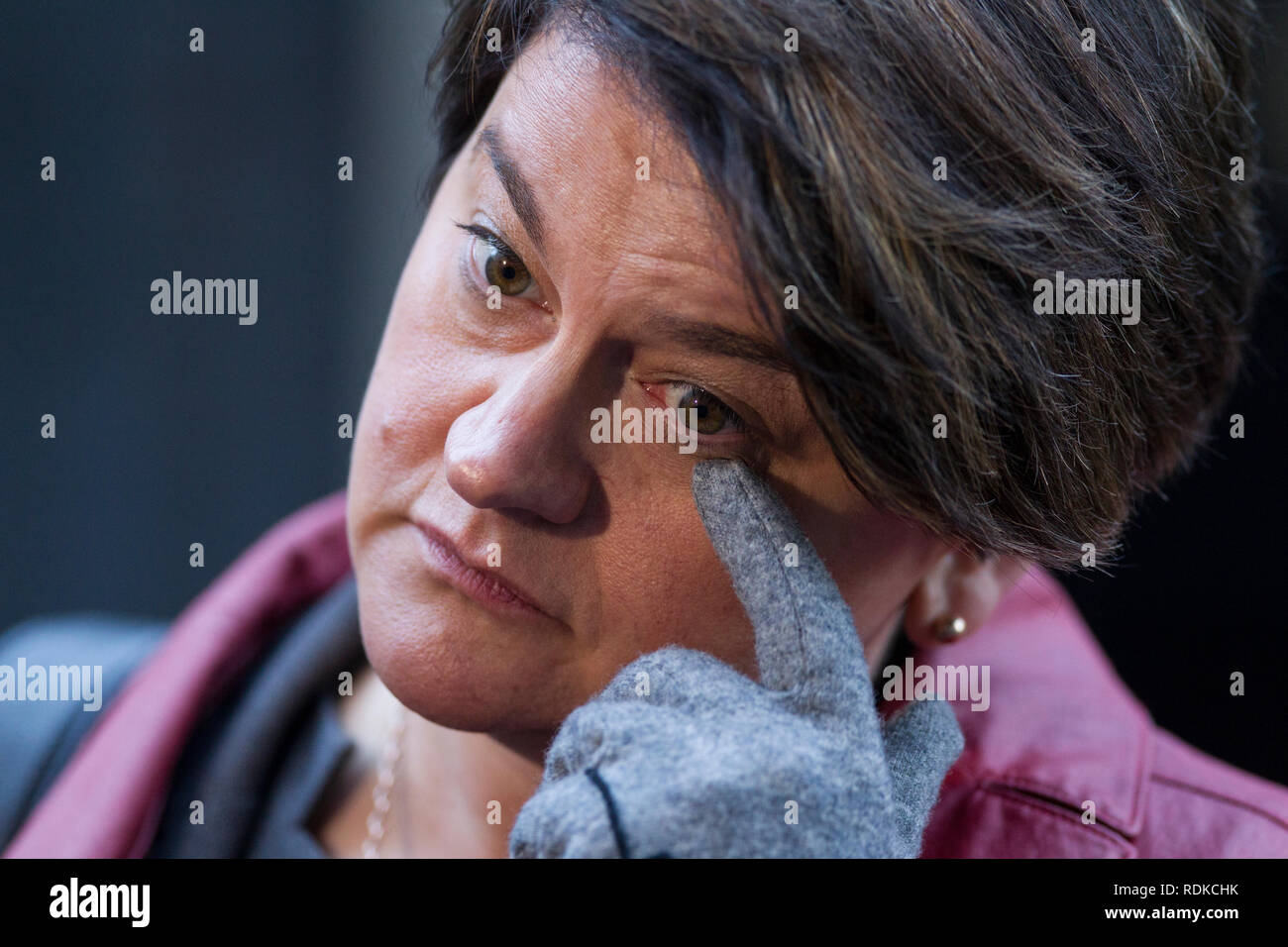 Arlene Foster, Northern Ireland politician and leader of the Democratic Unionist Party outside No.10 Downing Street, Whitehall, London, England, UK Stock Photo