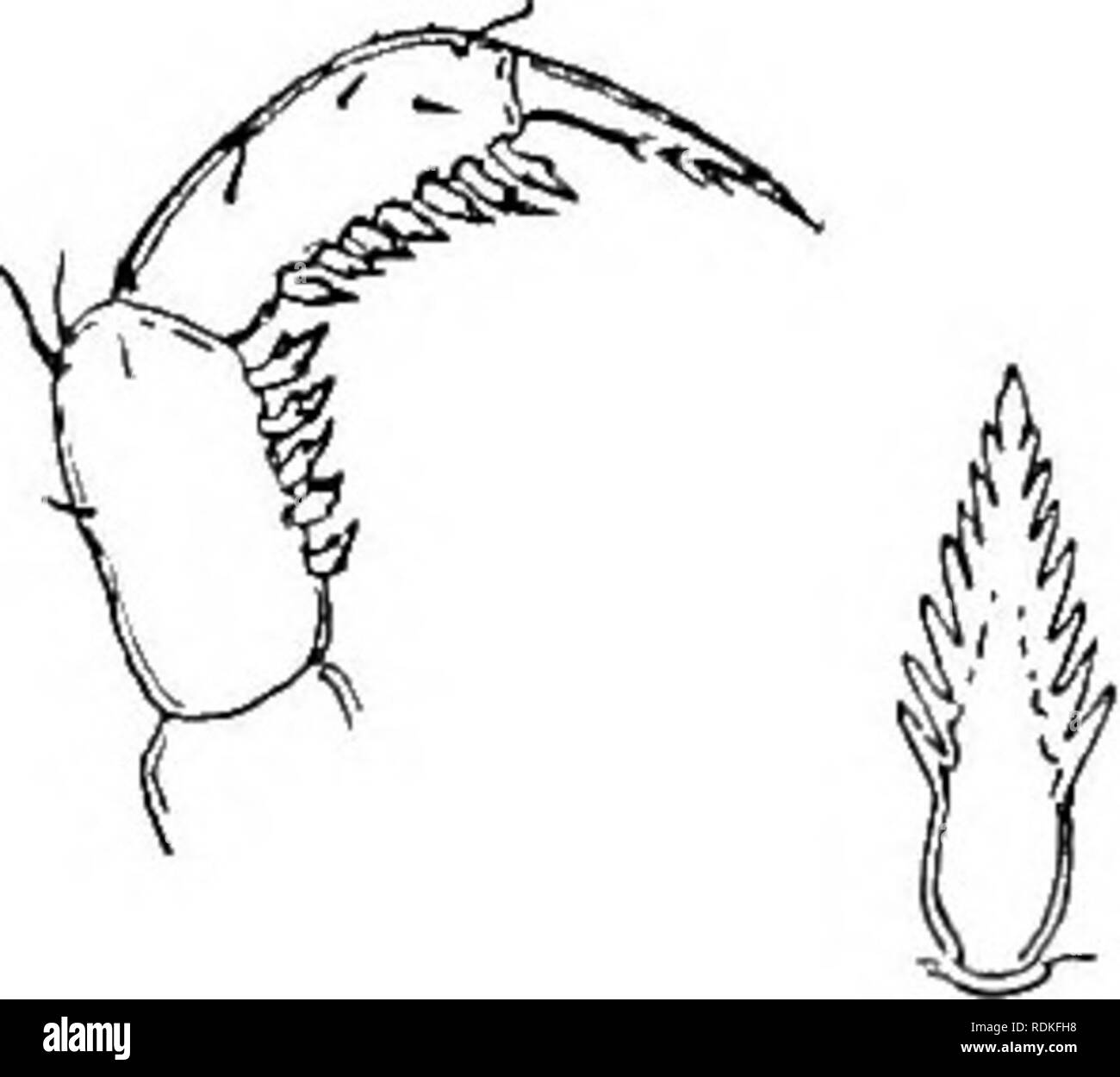 270 B C D High Resolution Stock Photography And Images Alamy
