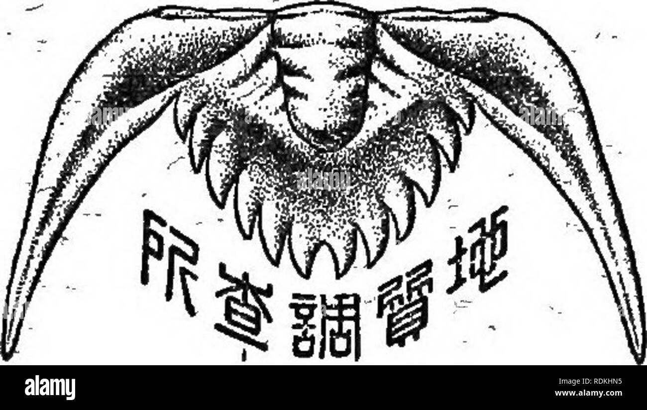 China university of geology Black and White Stock Photos & Images - Alamy