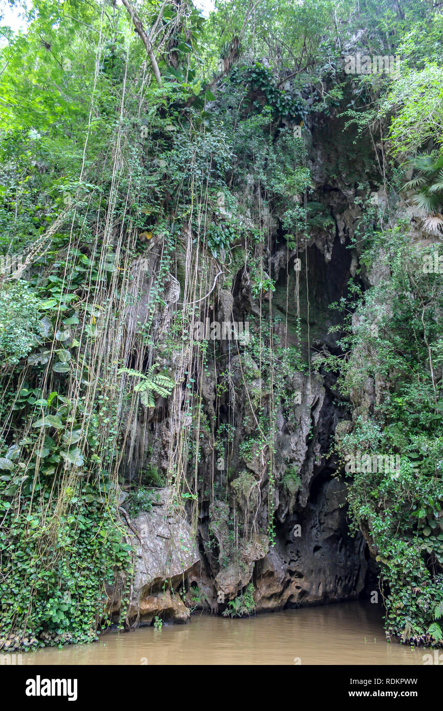 Cueva del indio Indian Cave Valle de Vinales Cuba Stock Photo