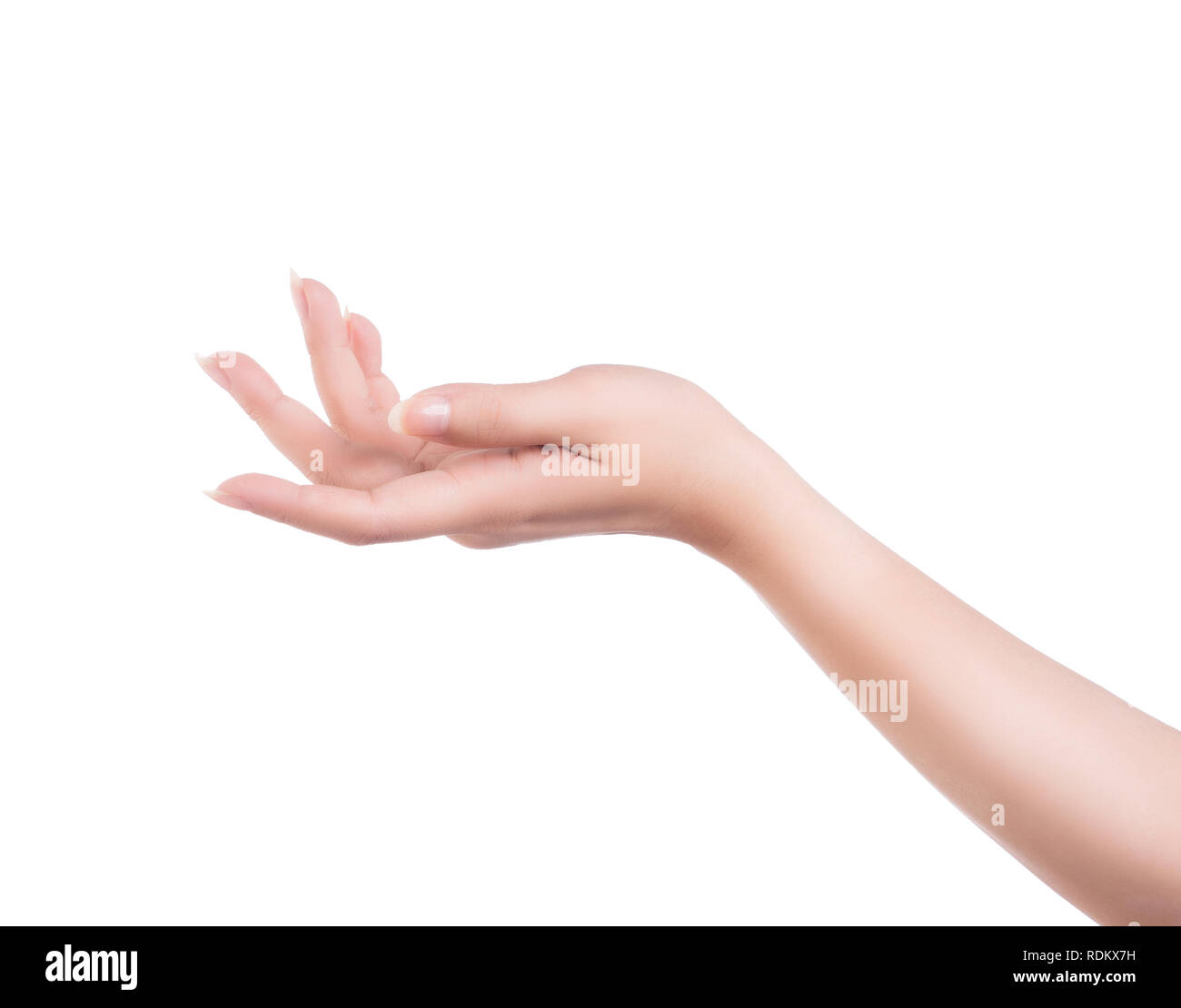 Female Hand Bare Holding Squeegee Isolated Stock Photo 253065526