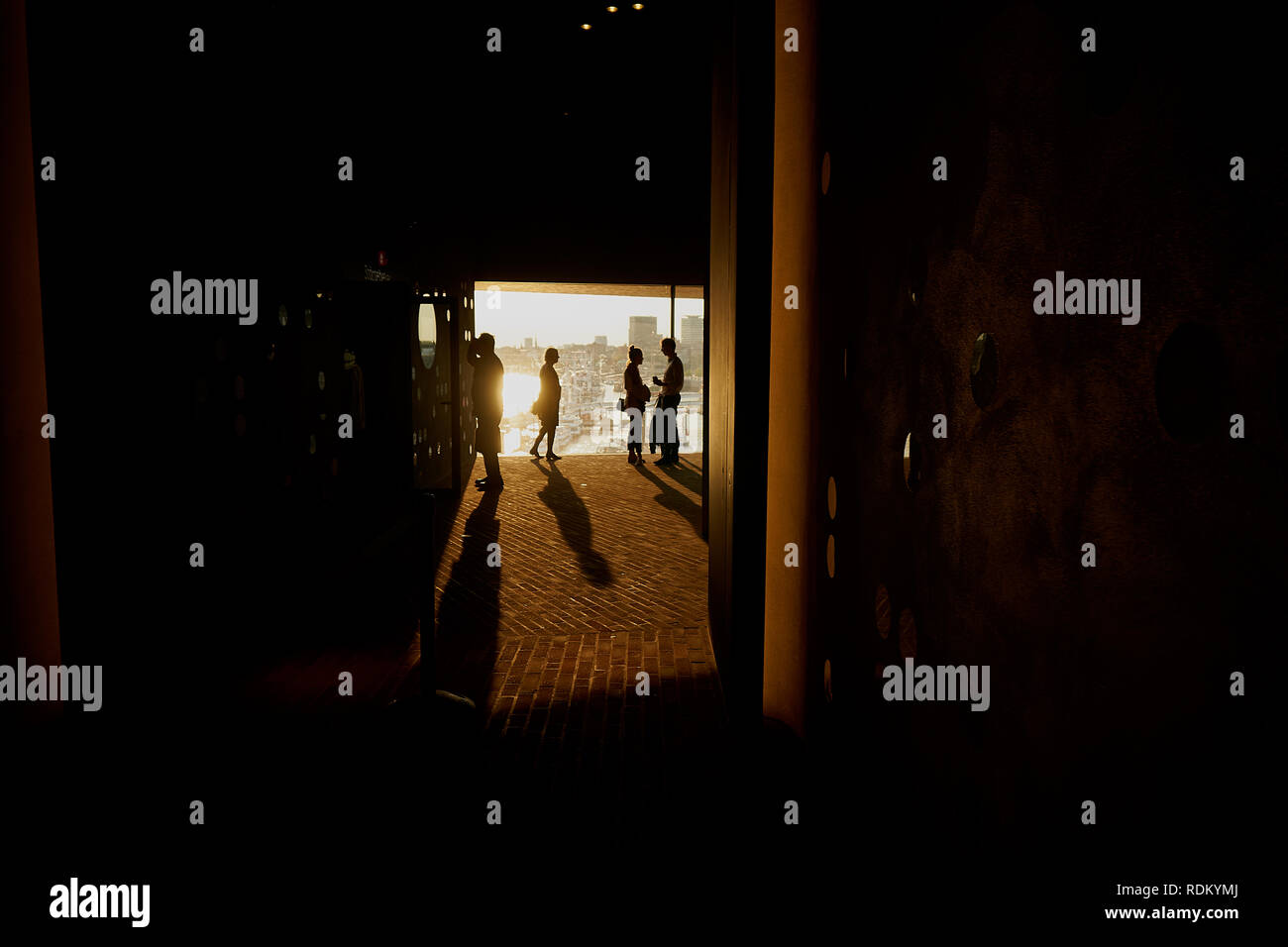 Siluettes of visitors inside the elbphilharmonie concert hall in Hamburg Stock Photo