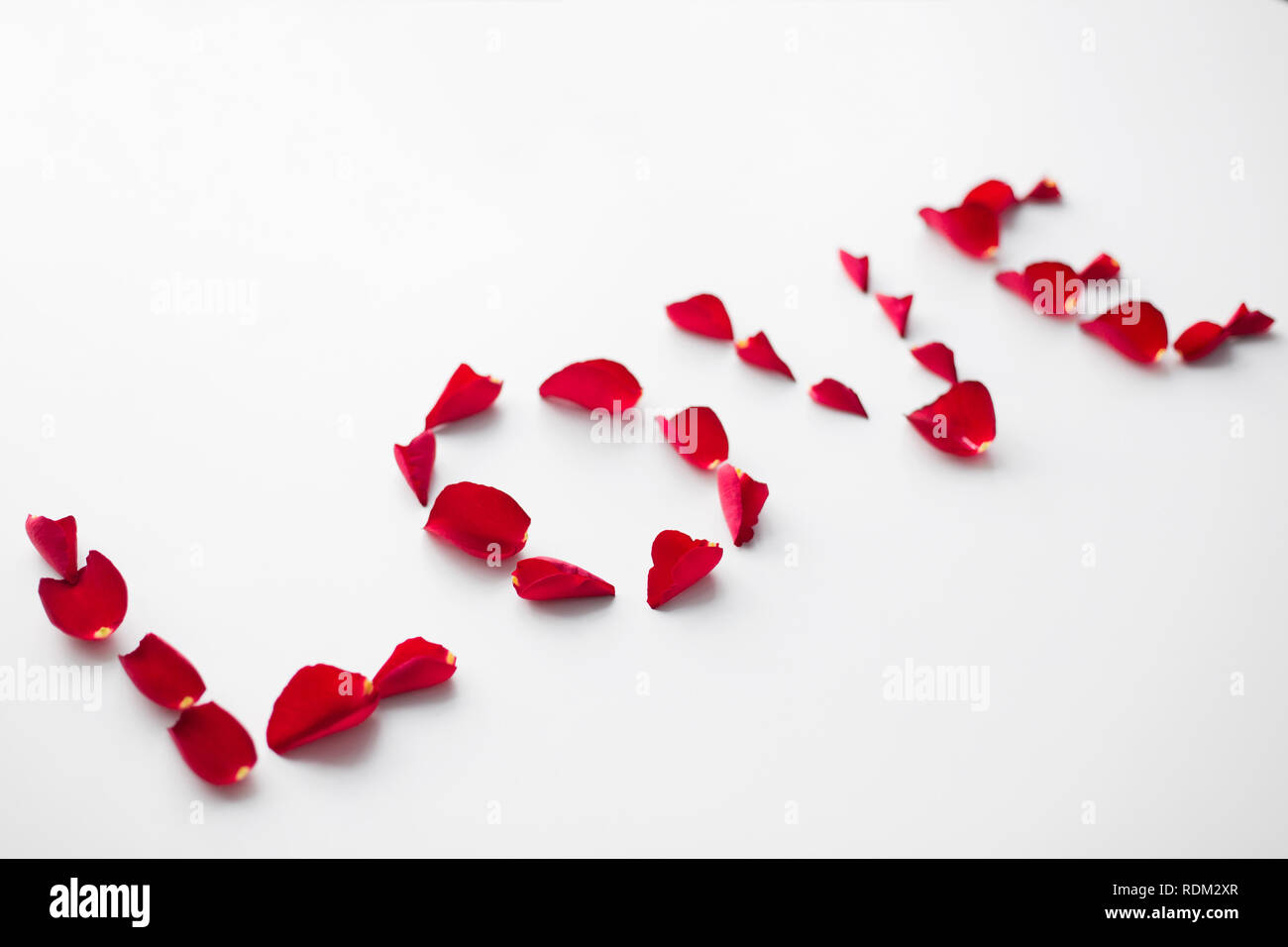 another word for petal
