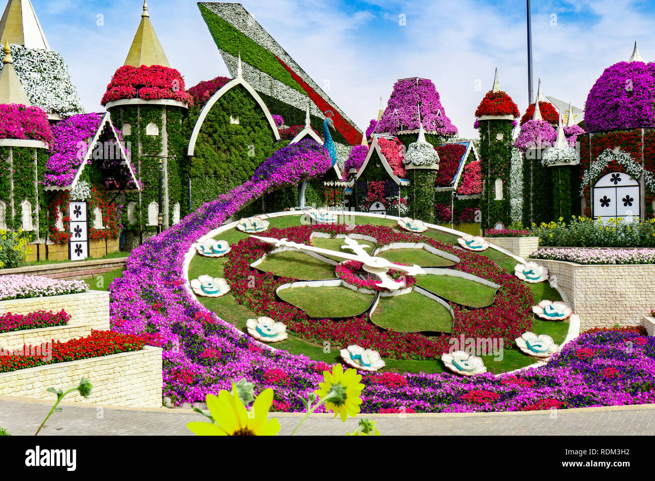 Dubai,UAE 11. 06. 2018 : bright floral clock with little garden houses in the Miracle Garden in Dubai Stock Photo