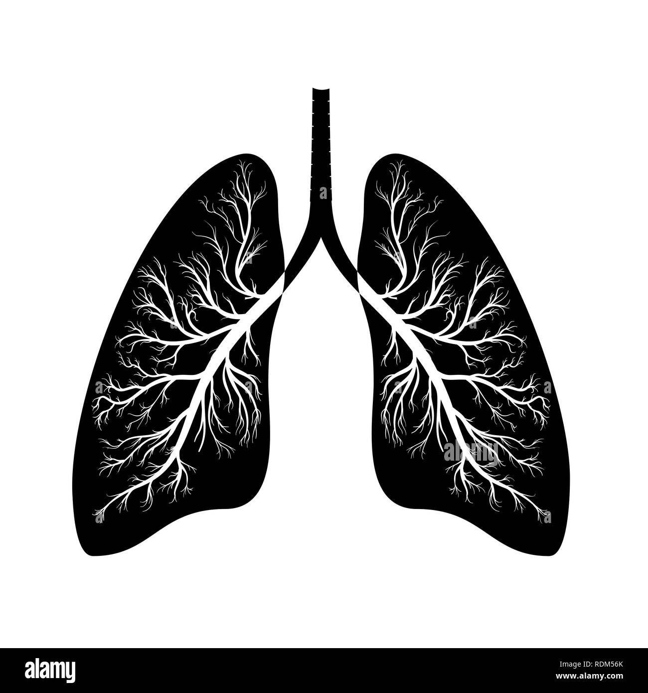 Lungs icon illustration Stock Vector