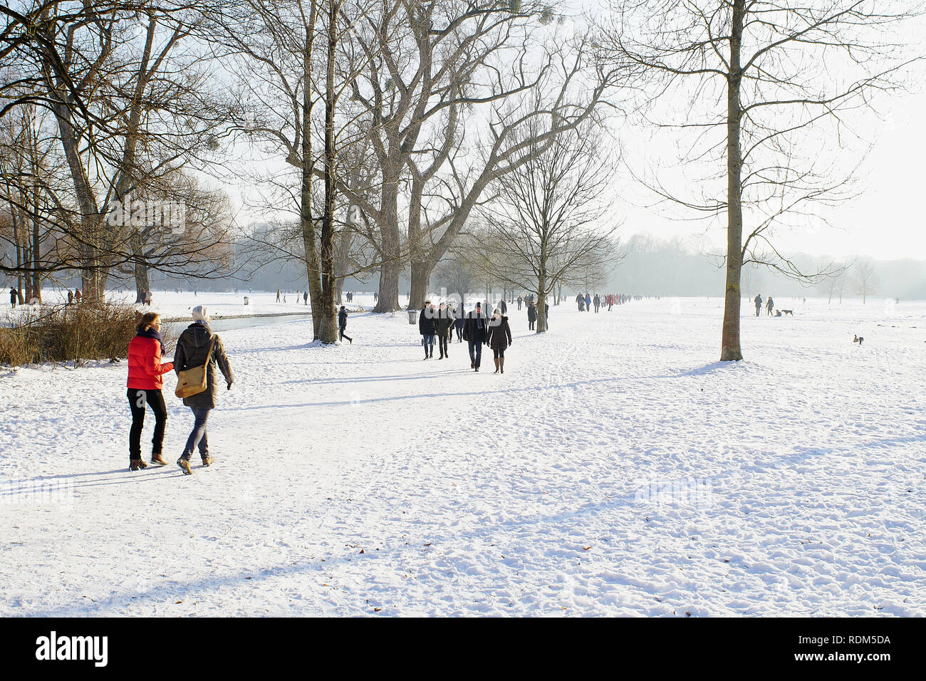 Winter snow in English Garden, Munich Stock Photo - Alamy