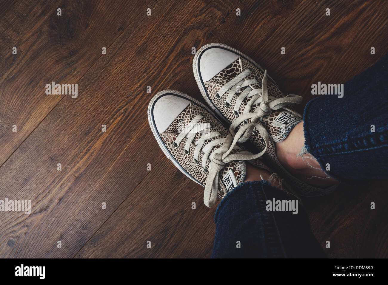 Converse all star shoes / trainers with an animal print, photographed against wooden floor Stock Photo