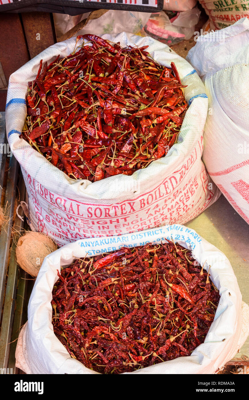 Dried chillies for sale, Conemara market, Trivandrum, Kerala, India Stock Photo