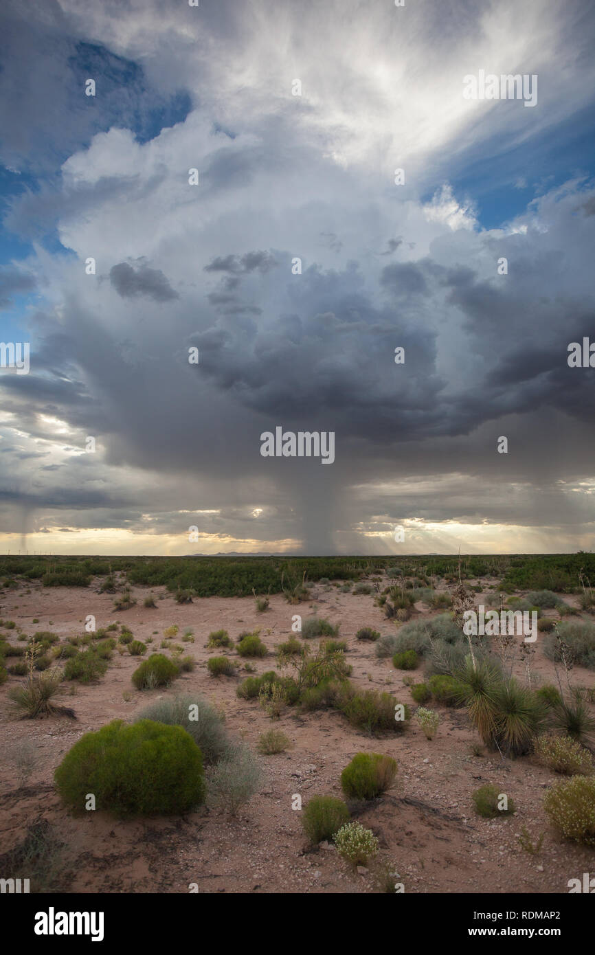 Santa Teresa, Dona Ana County, New Mexico, USA Stock Photo Alamy
