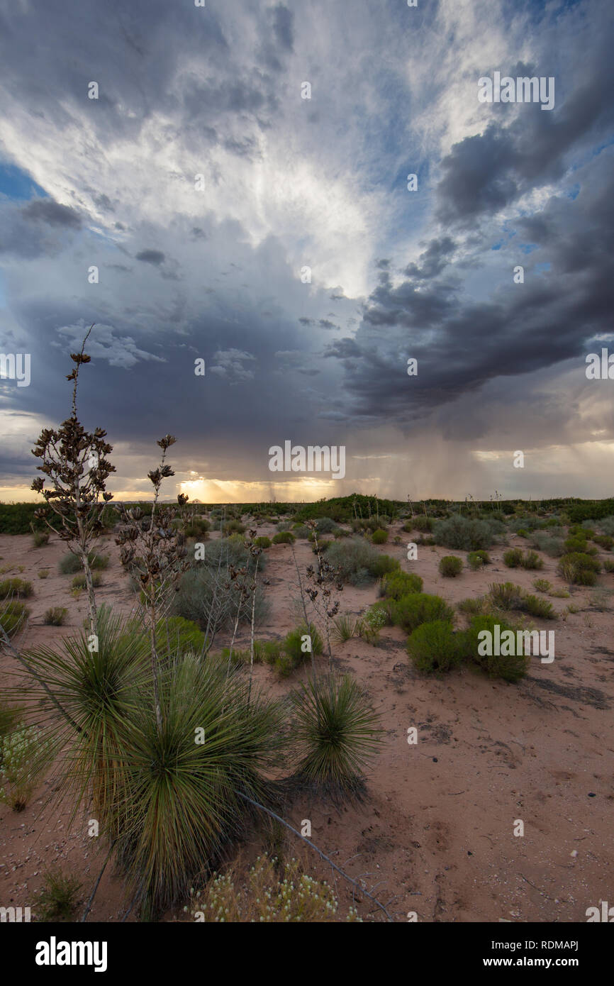 Santa Teresa, Dona Ana County, New Mexico, USA Stock Photo Alamy