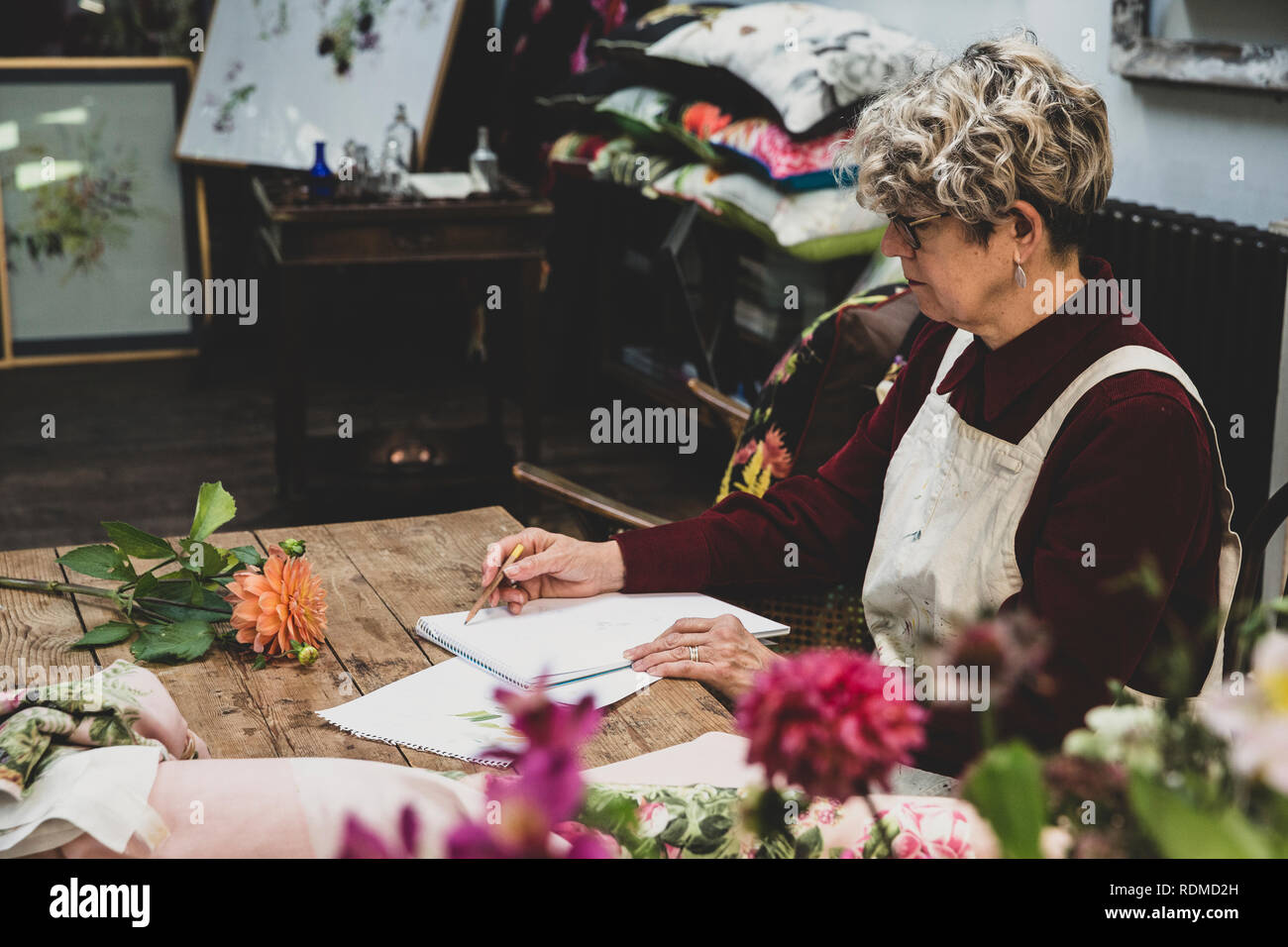 Senior woman wearing glasses, red dress and white apron sitting at table, working on pencil drawing of orange Dahlia. Stock Photo