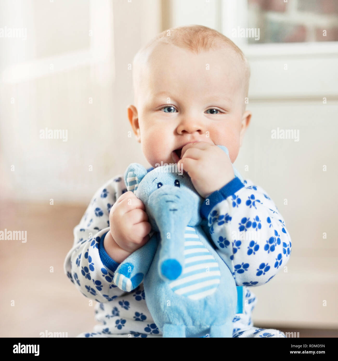 Portrait of baby boy holding toy Stock Photo