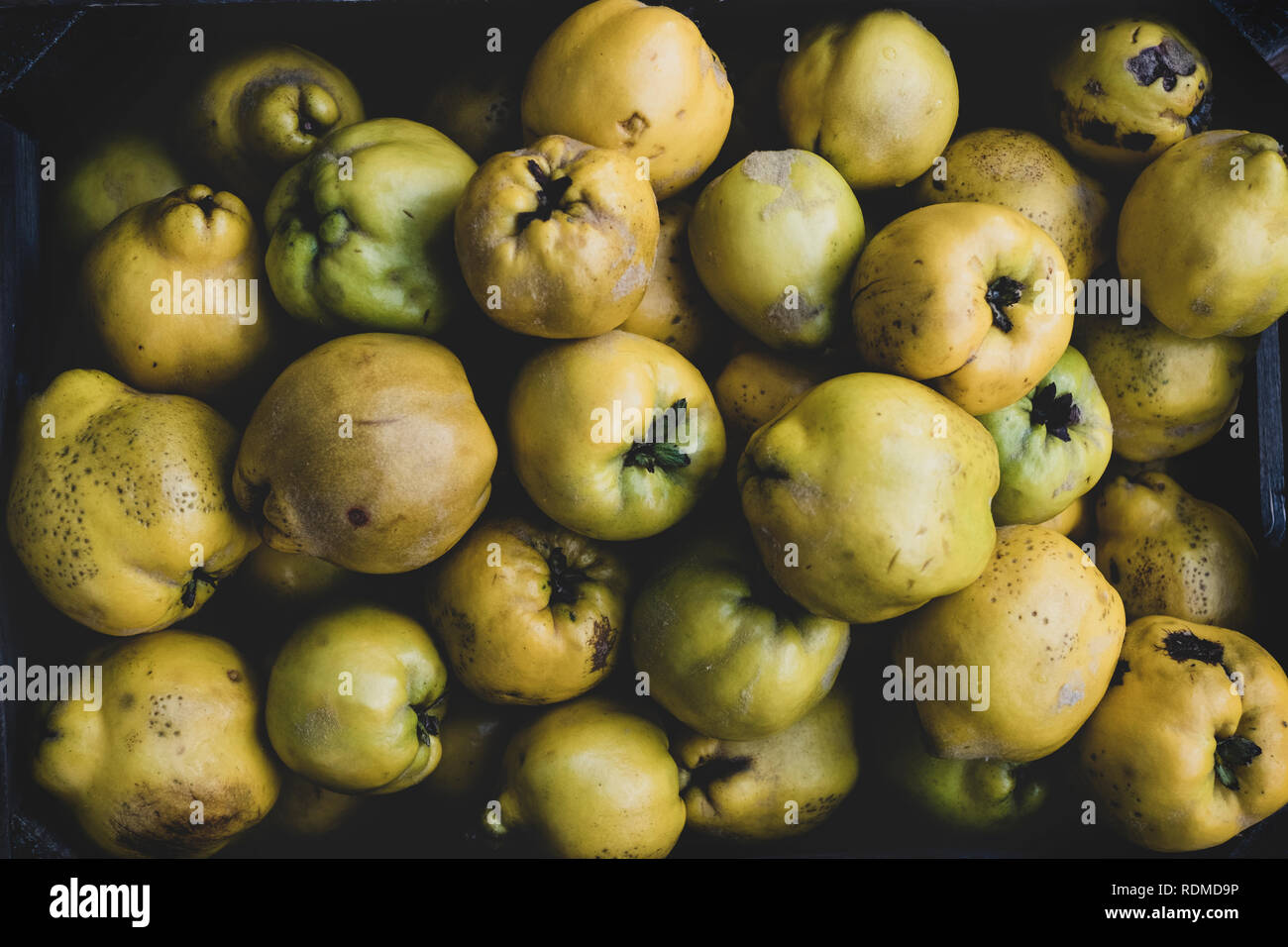High angle close up of a crate of fresh quinces fruits. Stock Photo