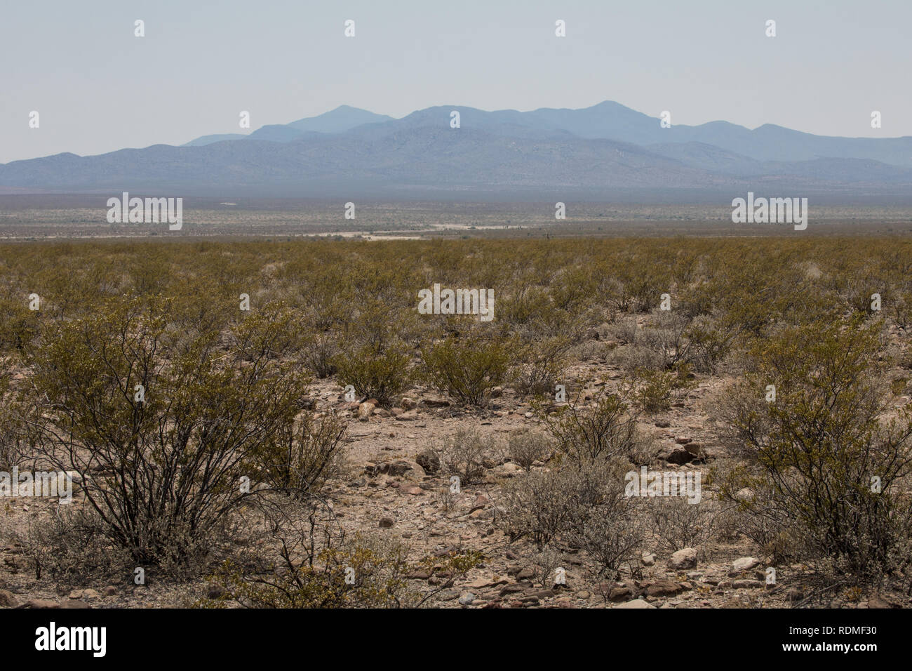 Oppressive Heat in the New Mexico Desert Stock Photo