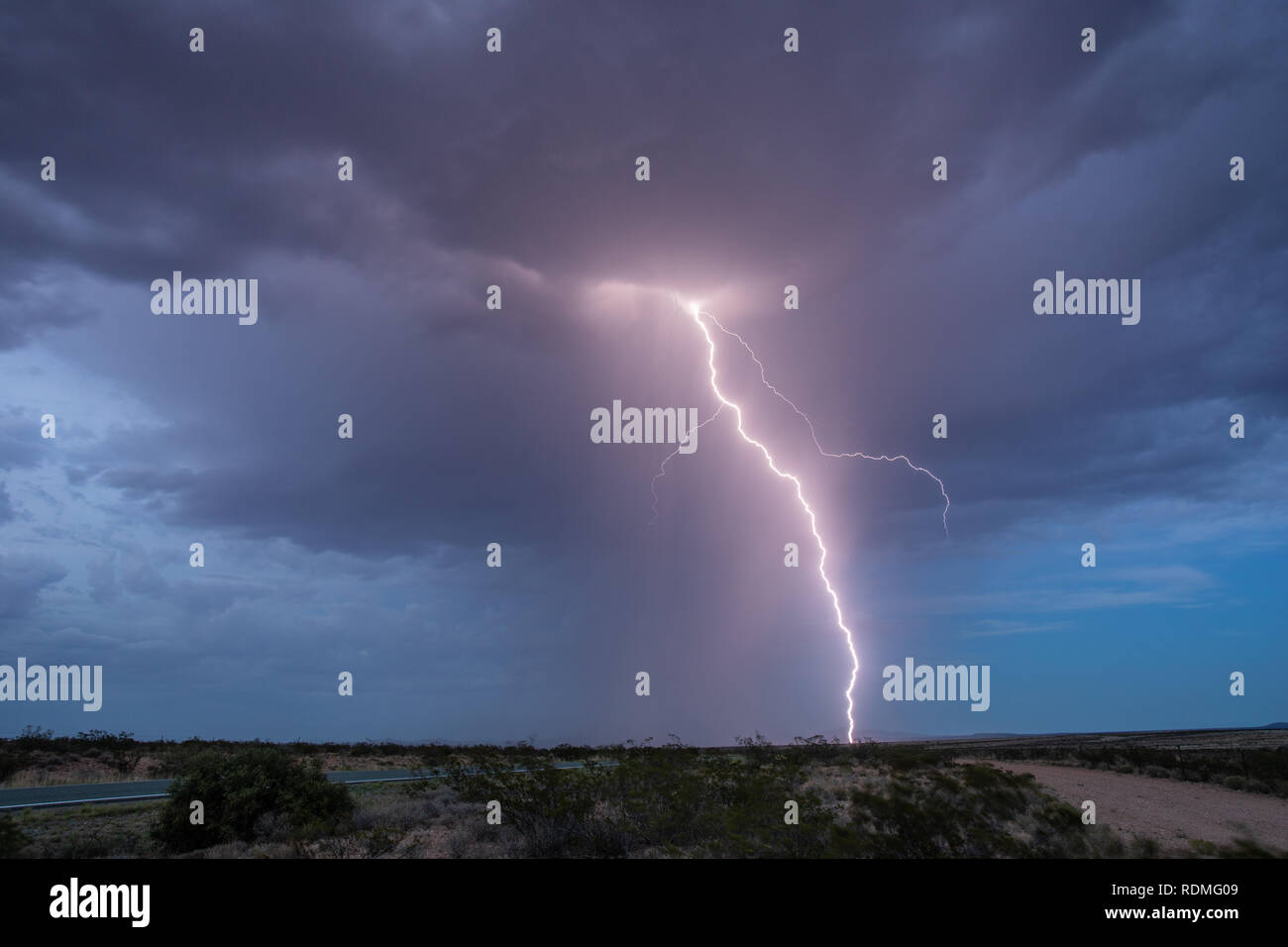 Purple-hued Cloud to Ground Lightning from an Afternoon Monsoon Season Thunderstorm in New Mexico Stock Photo