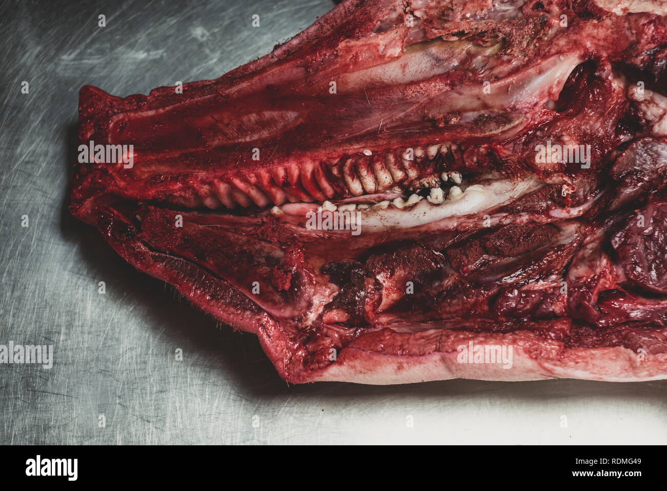 High angle close up of pig carcass, cross section of animal head. Stock Photo