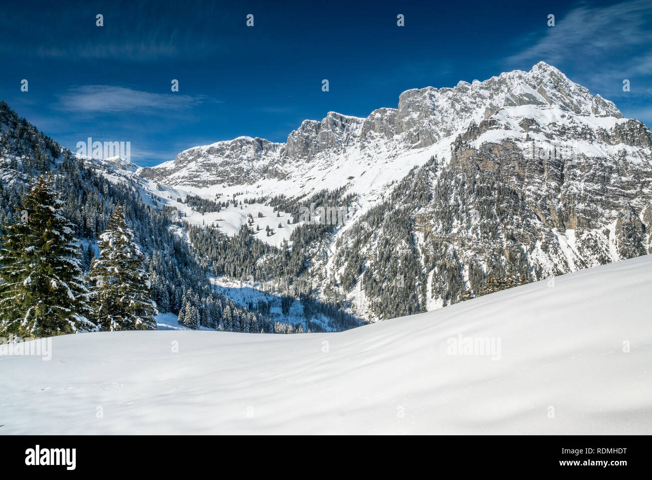 Schneeschuhwandern im Diemtigtal, Berner Oberland Stock Photo