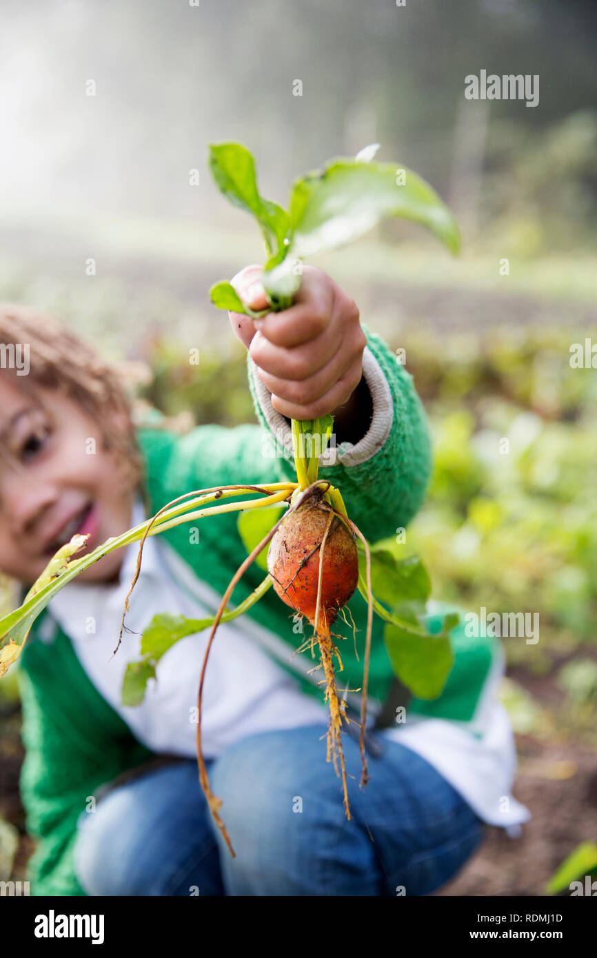 Turnip people hires stock photography and images Alamy
