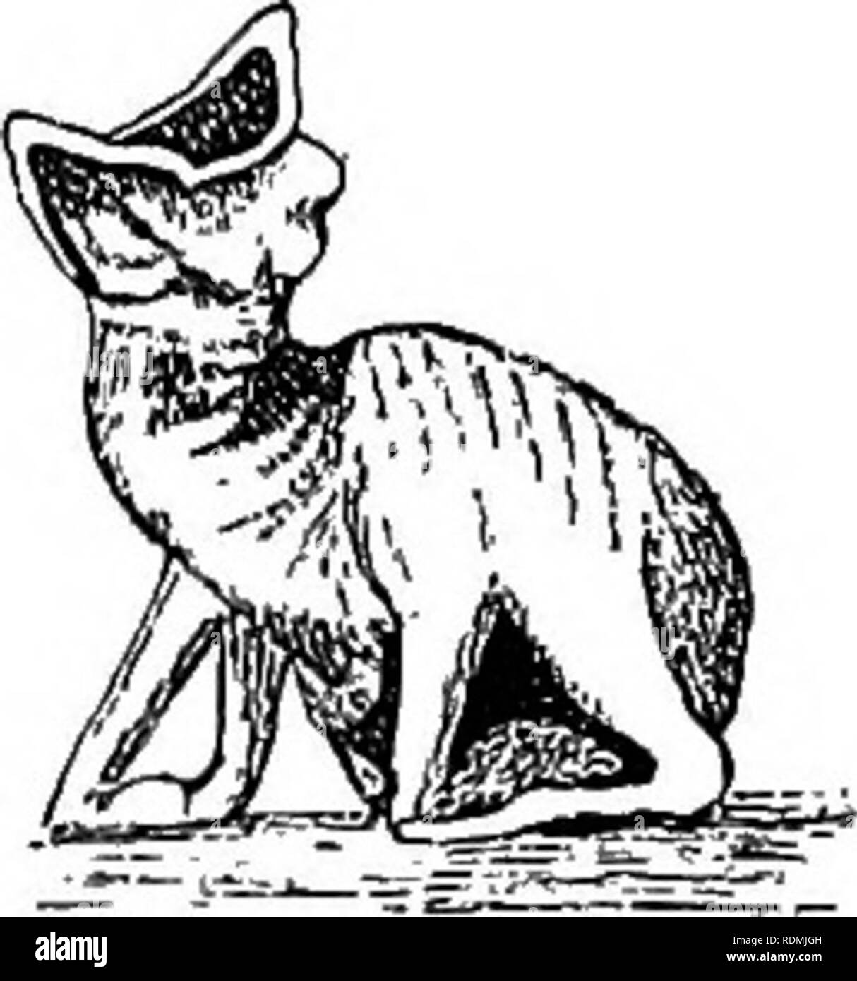 Useful birds and their protection. Containing brief descriptions of the more common and useful species of Massachusetts, with accounts of their food habits, and a chapter on the means of attracting Useful birds and their protection. Containing brief descriptions of the more common and useful species of Massachusetts, with accounts of their food habits, and a chapter on the means of attracting