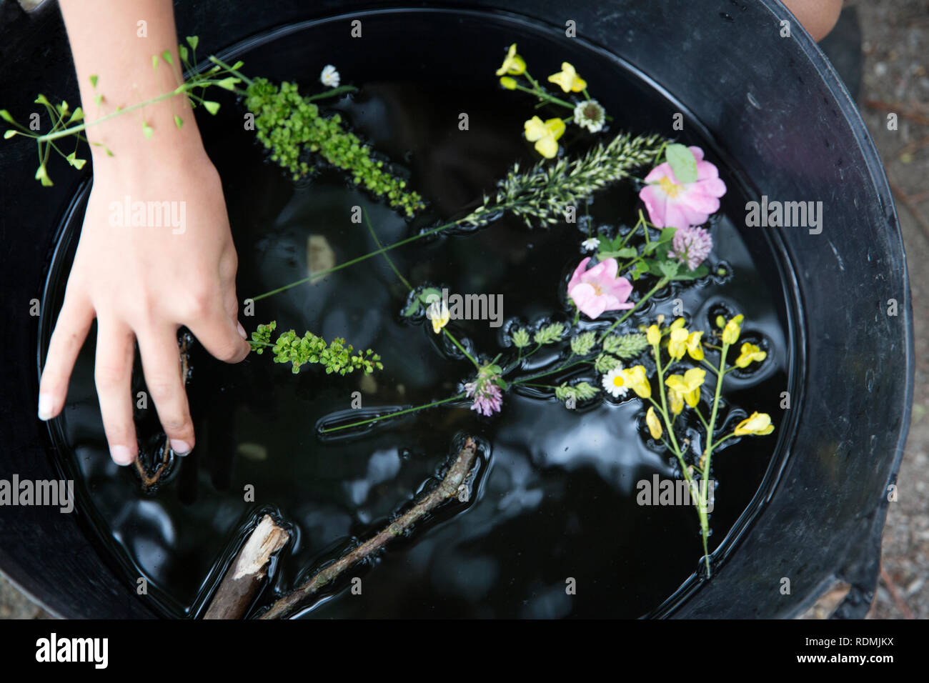 Girl reaching for flowers in large bowl Stock Photo