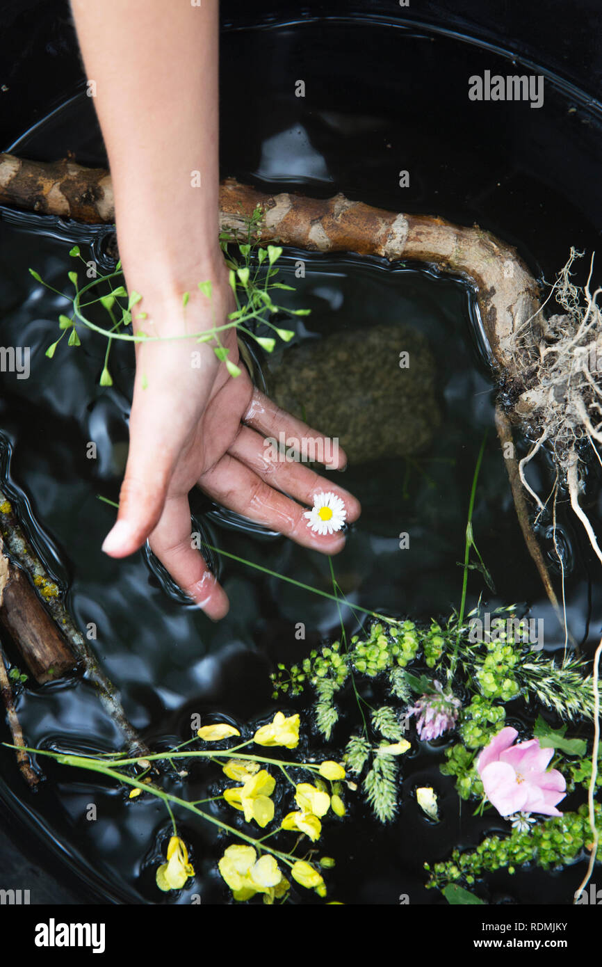 Teenage girl arranging flowers in water Stock Photo