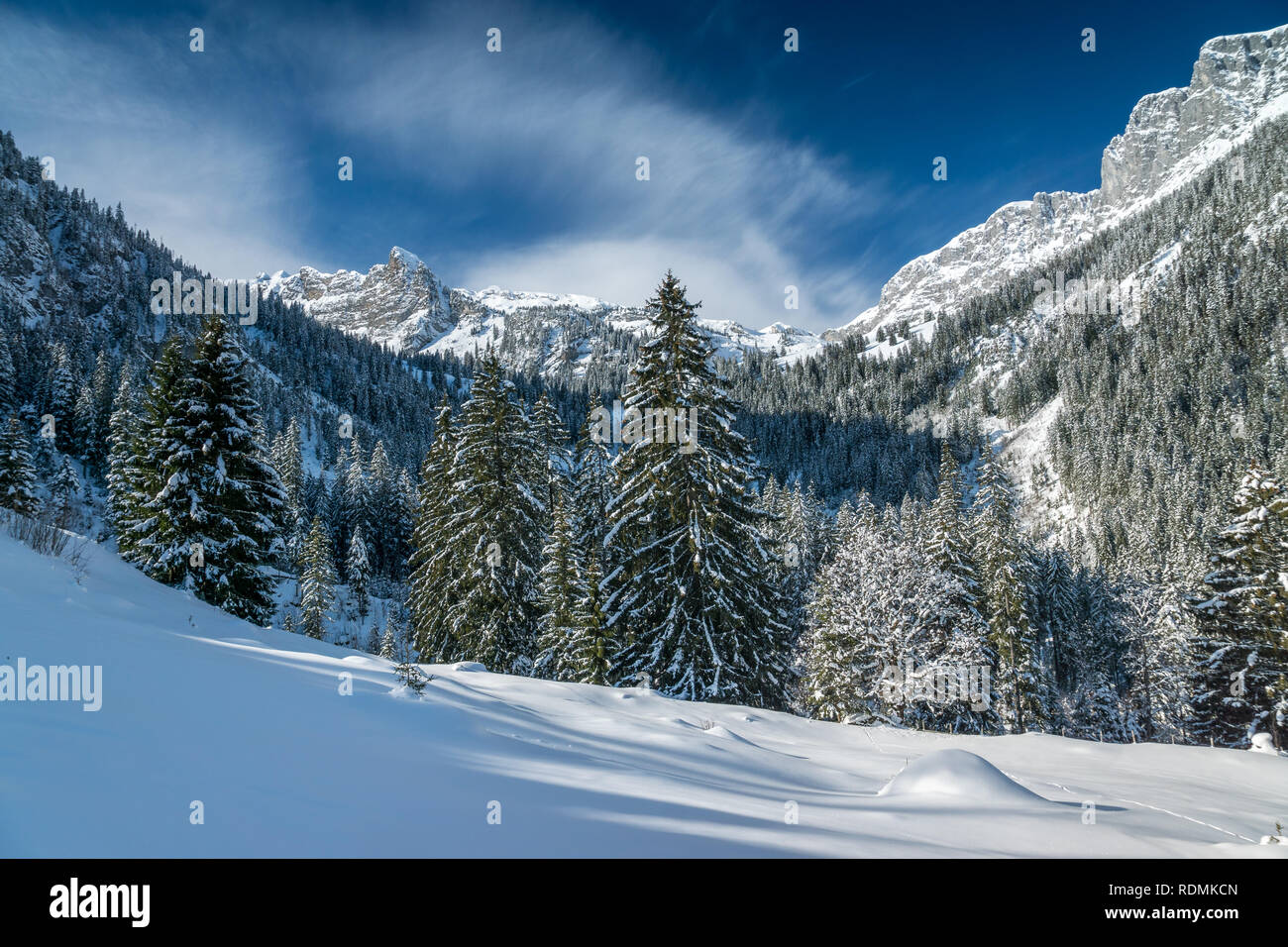Schneeschuhwandern im Diemtigtal, Berner Oberland Stock Photo