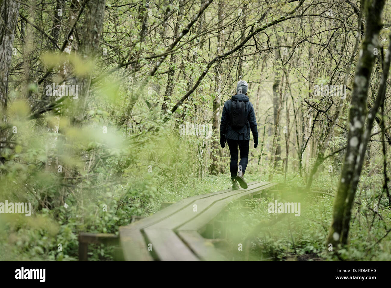 Young woman walking in forest Stock Photo - Alamy