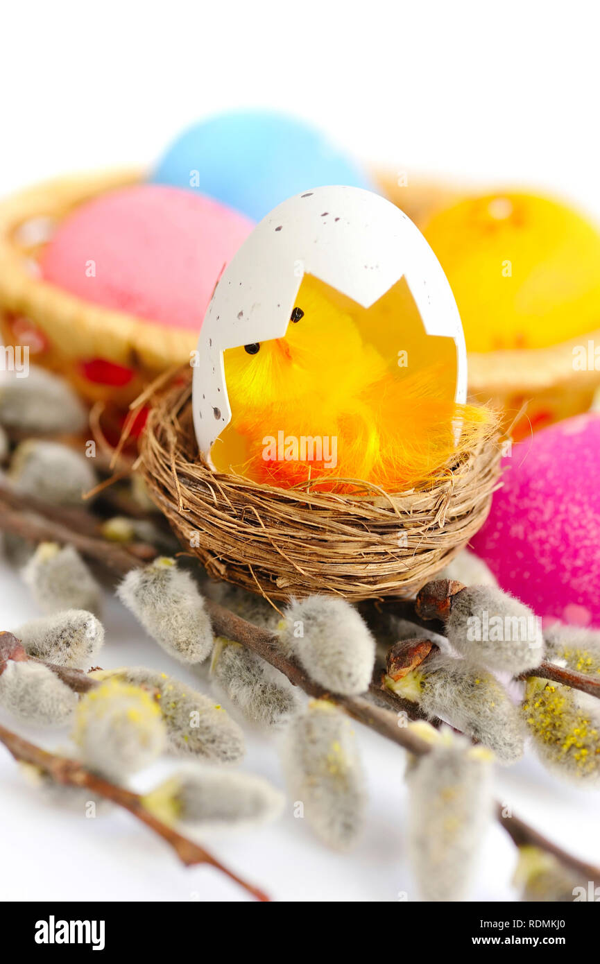 Colorful easter eggs and branches of willow on white background Stock ...