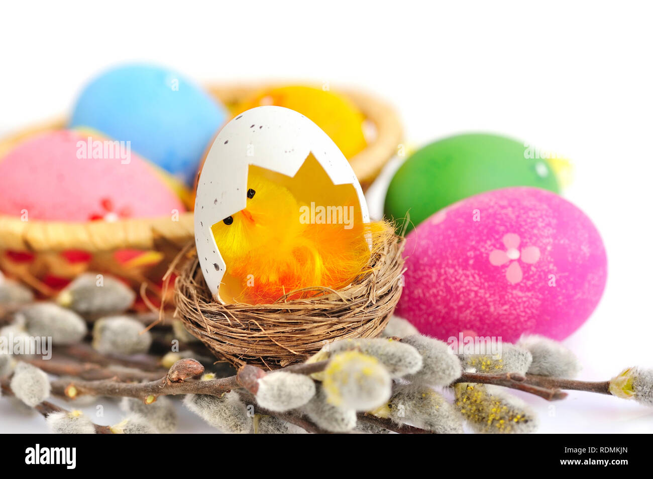 Colorful easter eggs and branches of willow on white background Stock ...