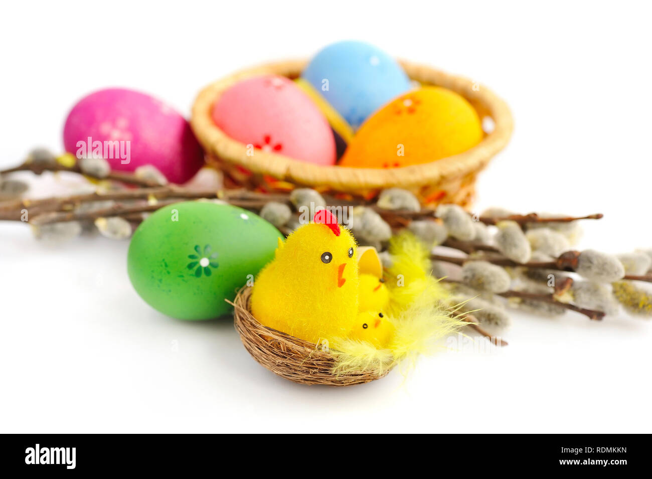 Nest with a hen and chickens with easter eggs and branches of willow on ...