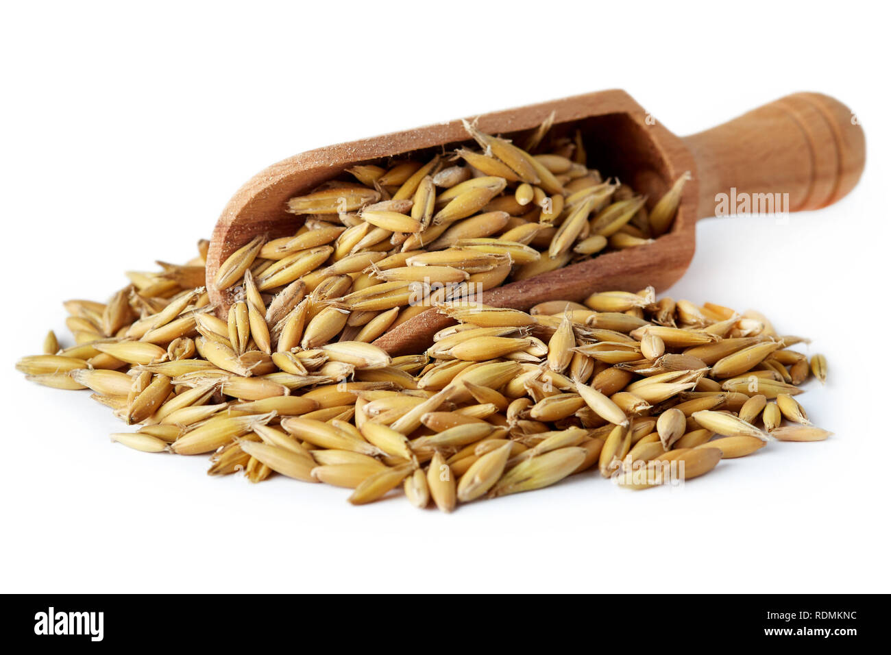 Oat seeds (Avena sativa) also known as the common oat in wooden scoop