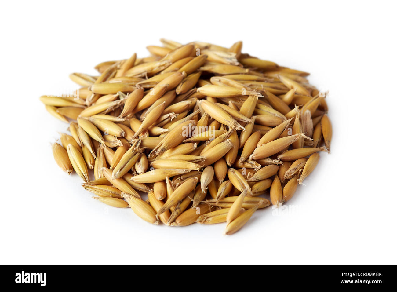 Oat seeds (Avena sativa) also known as the common oat isolated on white