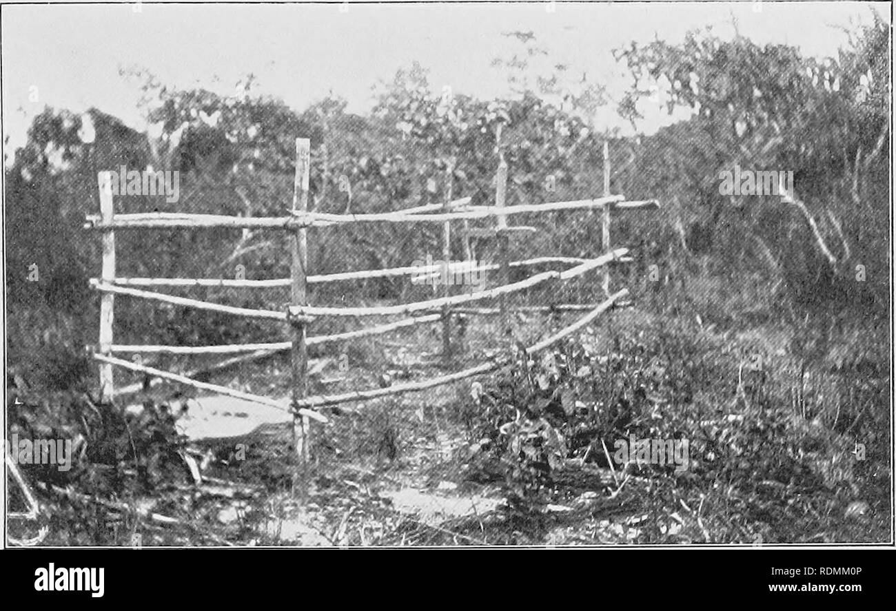 The rondon commission hires stock photography and images Alamy