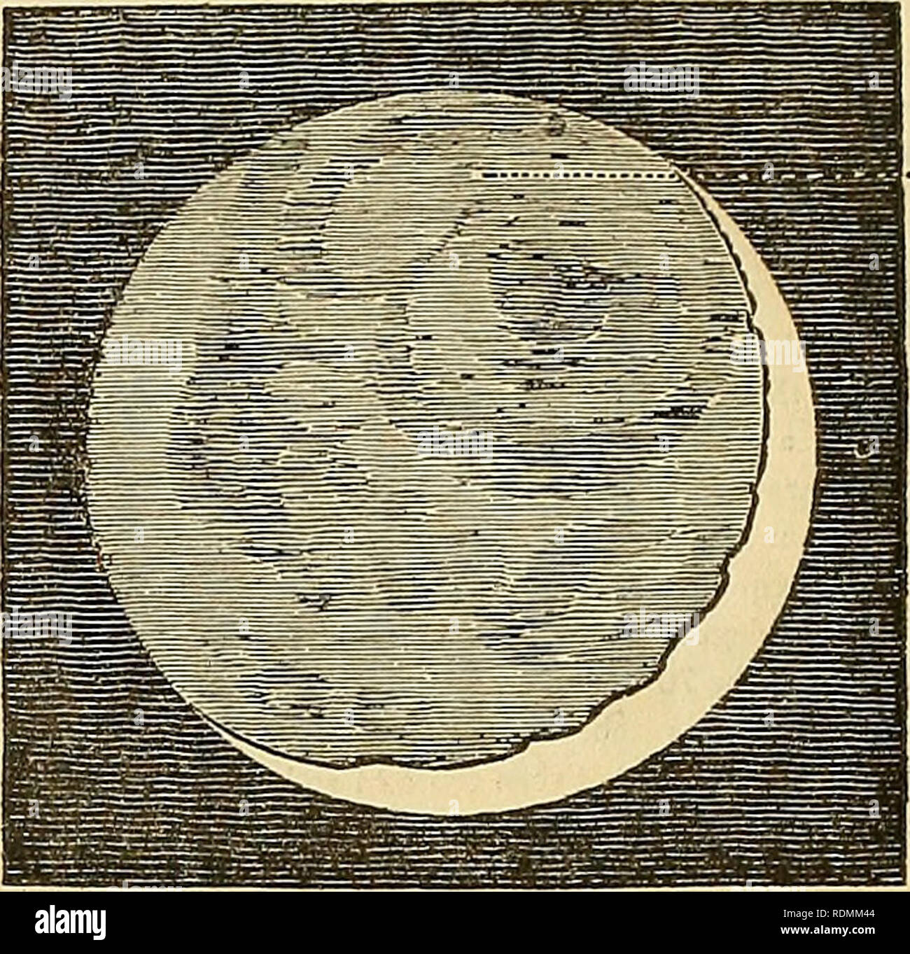 . Edinburgh journal of natural history and of the physical sciences. 36 THE EDINBURGH JOURNAL OF